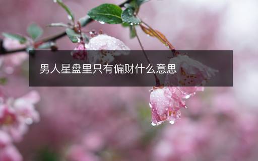 男人星盤里只有偏財(cái)什么意思