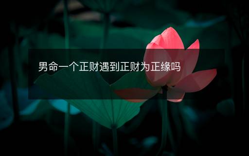 男命一個(gè)正財(cái)遇到正財(cái)為正緣嗎
