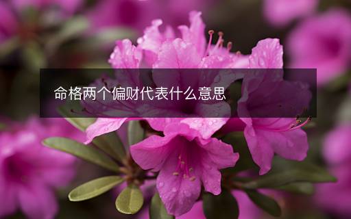 命格兩個(gè)偏財(cái)代表什么意思