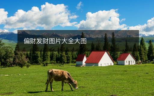 偏財發(fā)財圖片大全大圖
