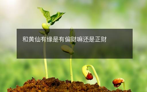 和黃仙有緣是有偏財(cái)嘛還是正財(cái)