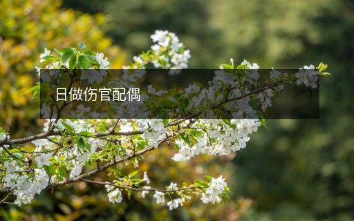日做傷官配偶