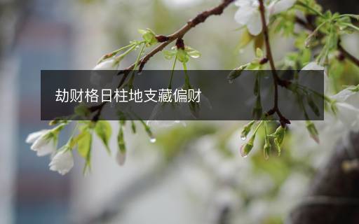 劫財(cái)格日柱地支藏偏財(cái)