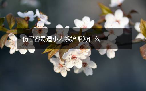 傷官容易遭小人嫉妒嘛為什么