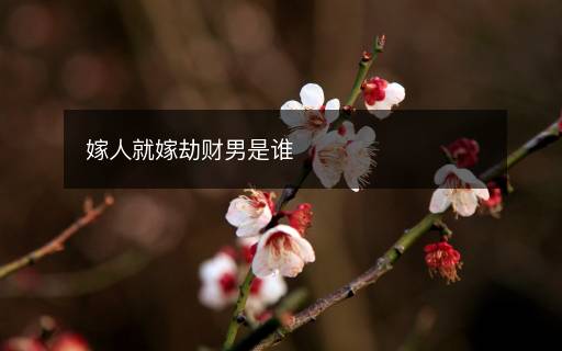 嫁人就嫁劫財(cái)男是誰