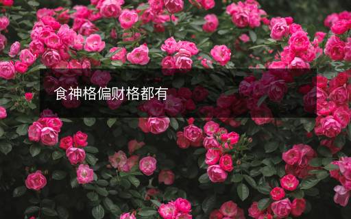 食神格偏財格都有
