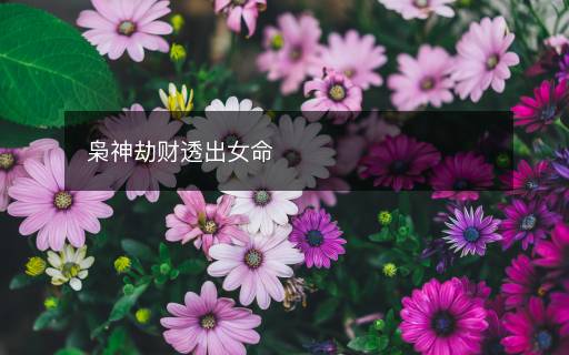 梟神劫財透出女命