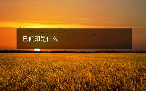 巳偏印是什么