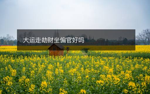 大運(yùn)走劫財(cái)坐偏官好嗎
