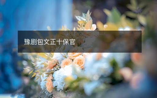 豫劇包文正十保官
