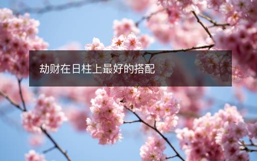 劫財在日柱上最好的搭配