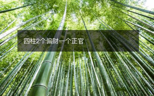 四柱2個偏財一個正官