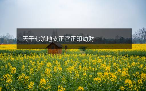 天干七殺地支正官正印劫財(cái)
