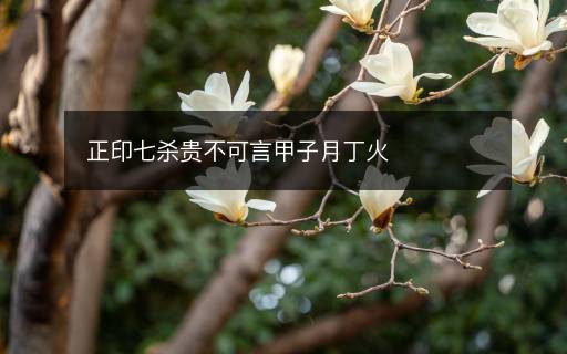 正印七殺貴不可言甲子月丁火