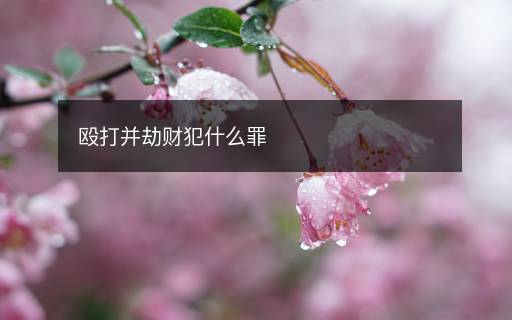毆打并劫財(cái)犯什么罪