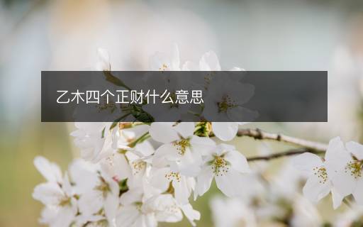 乙木四個(gè)正財(cái)什么意思