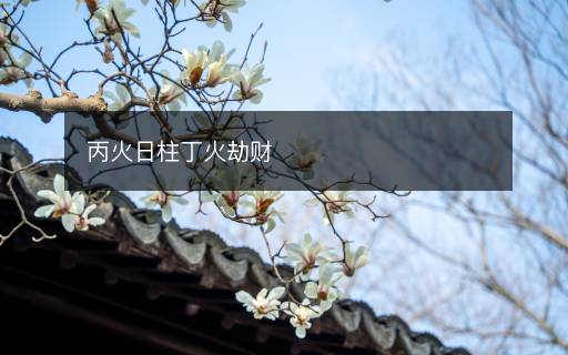 丙火日柱丁火劫財(cái)