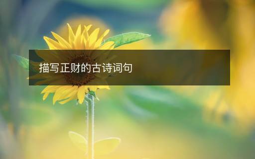 描寫正財(cái)?shù)墓旁娫~句