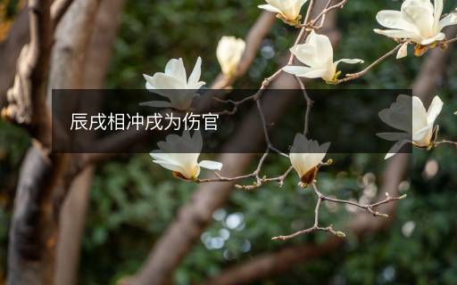 辰戌相沖戌為傷官