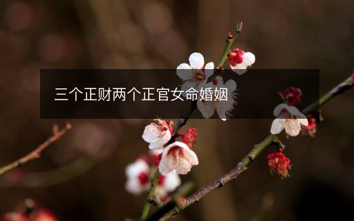 三個正財兩個正官女命婚姻