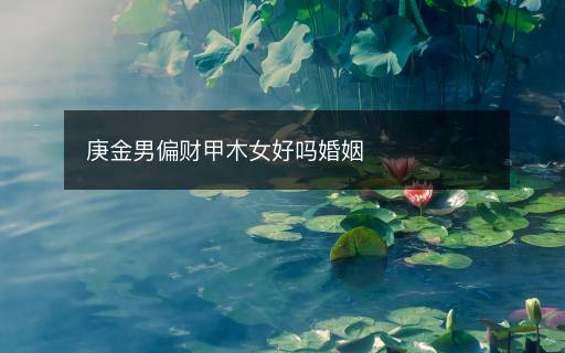 庚金男偏財(cái)甲木女好嗎婚姻
