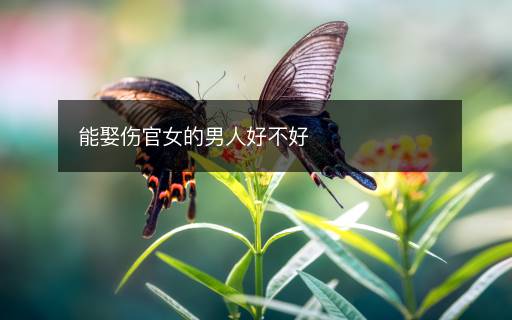 能娶傷官女的男人好不好