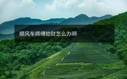 順風(fēng)車師傅劫財怎么辦啊