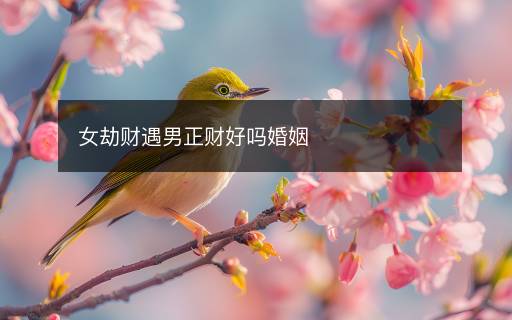 女劫財(cái)遇男正財(cái)好嗎婚姻