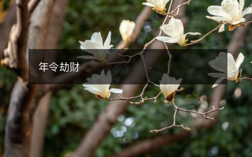 年令劫財