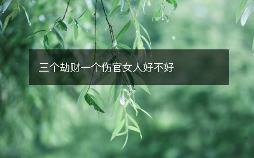 三個劫財一個傷官女人好不好
