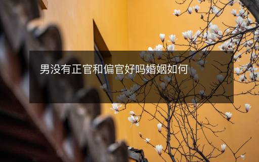男沒(méi)有正官和偏官好嗎婚姻如何