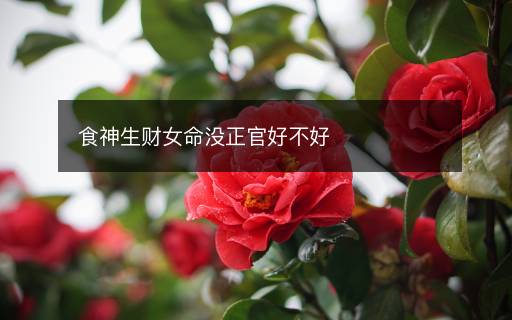 食神生財女命沒正官好不好