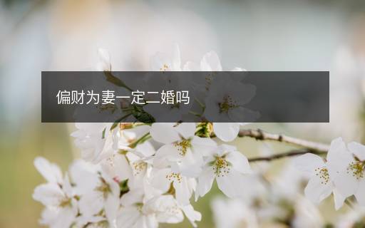 偏財為妻一定二婚嗎
