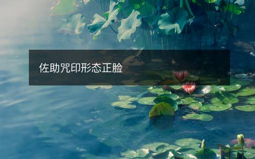 佐助咒印形態(tài)正臉
