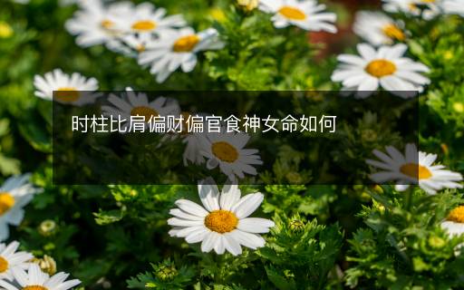 時(shí)柱比肩偏財(cái)偏官食神女命如何