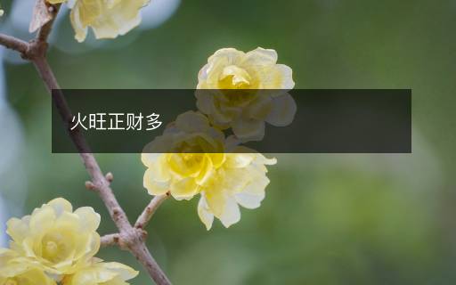 火旺正財多