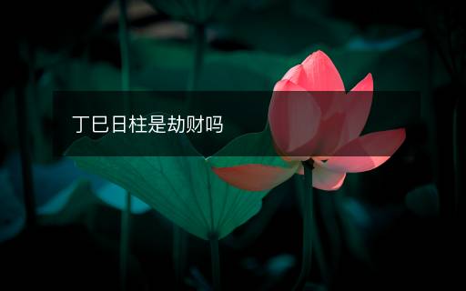 丁巳日柱是劫財嗎