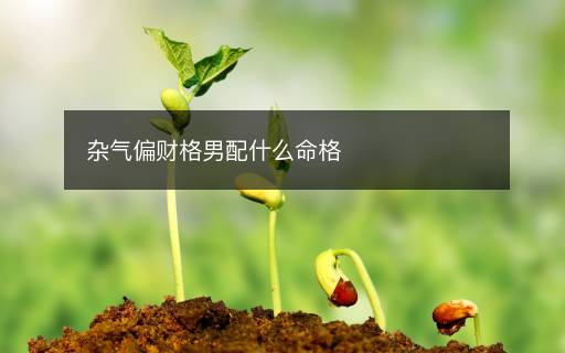 雜氣偏財格男配什么命格
