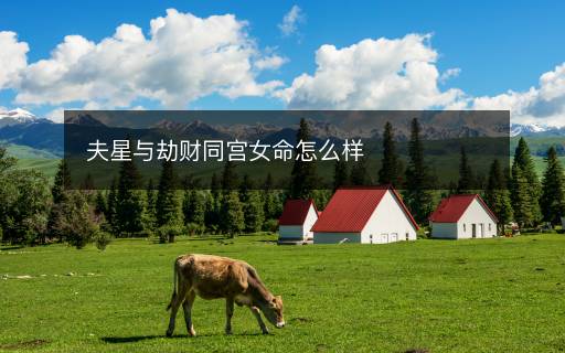 夫星與劫財(cái)同宮女命怎么樣