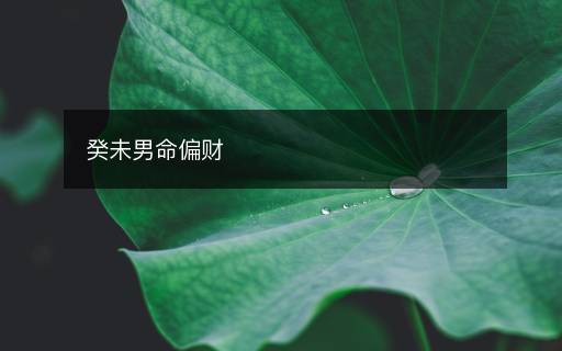 癸未男命偏財