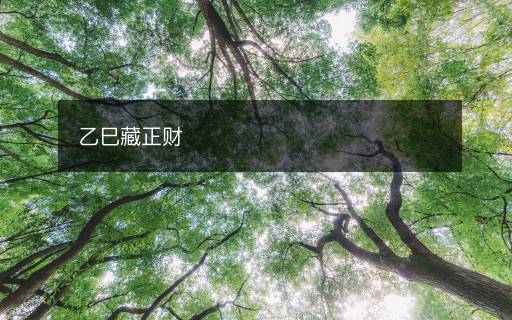 乙巳藏正財(cái)