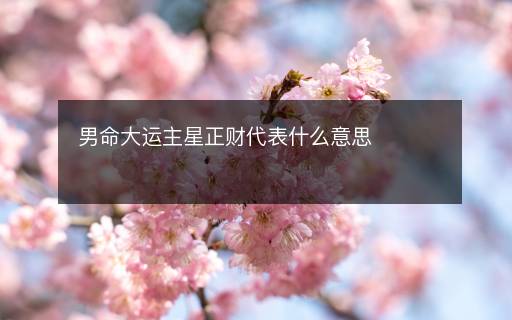 男命大運(yùn)主星正財代表什么意思