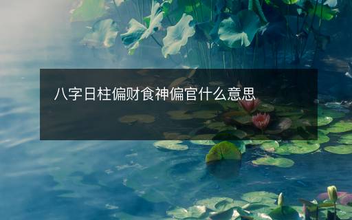 八字日柱偏財食神偏官什么意思