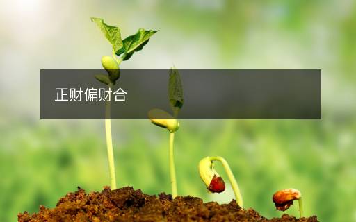 正財(cái)偏財(cái)合