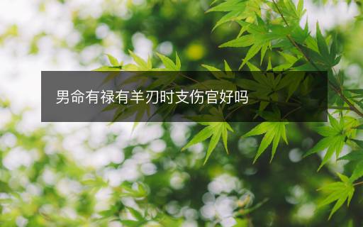 男命有祿有羊刃時支傷官好嗎