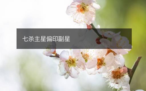 七殺主星偏印副星