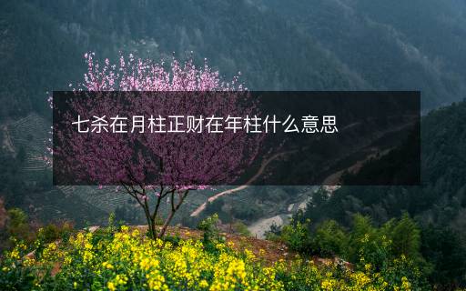 七殺在月柱正財在年柱什么意思