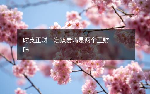 時支正財一定雙妻嗎是兩個正財嗎