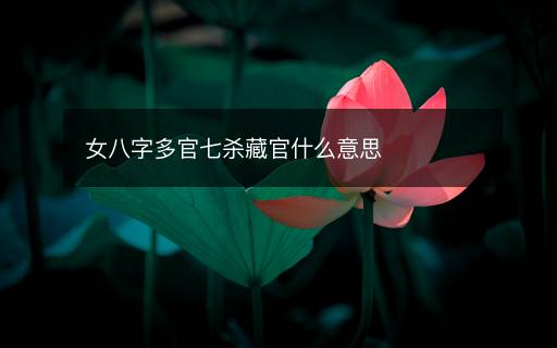 女八字多官七殺藏官什么意思