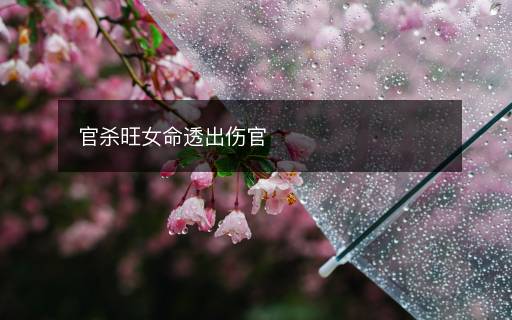 官殺旺女命透出傷官